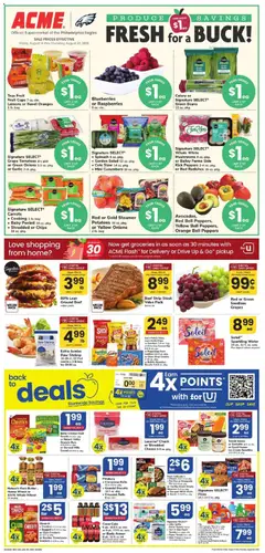 Ad Preview of Acme Acme Weekly Ad from 08/14/2026