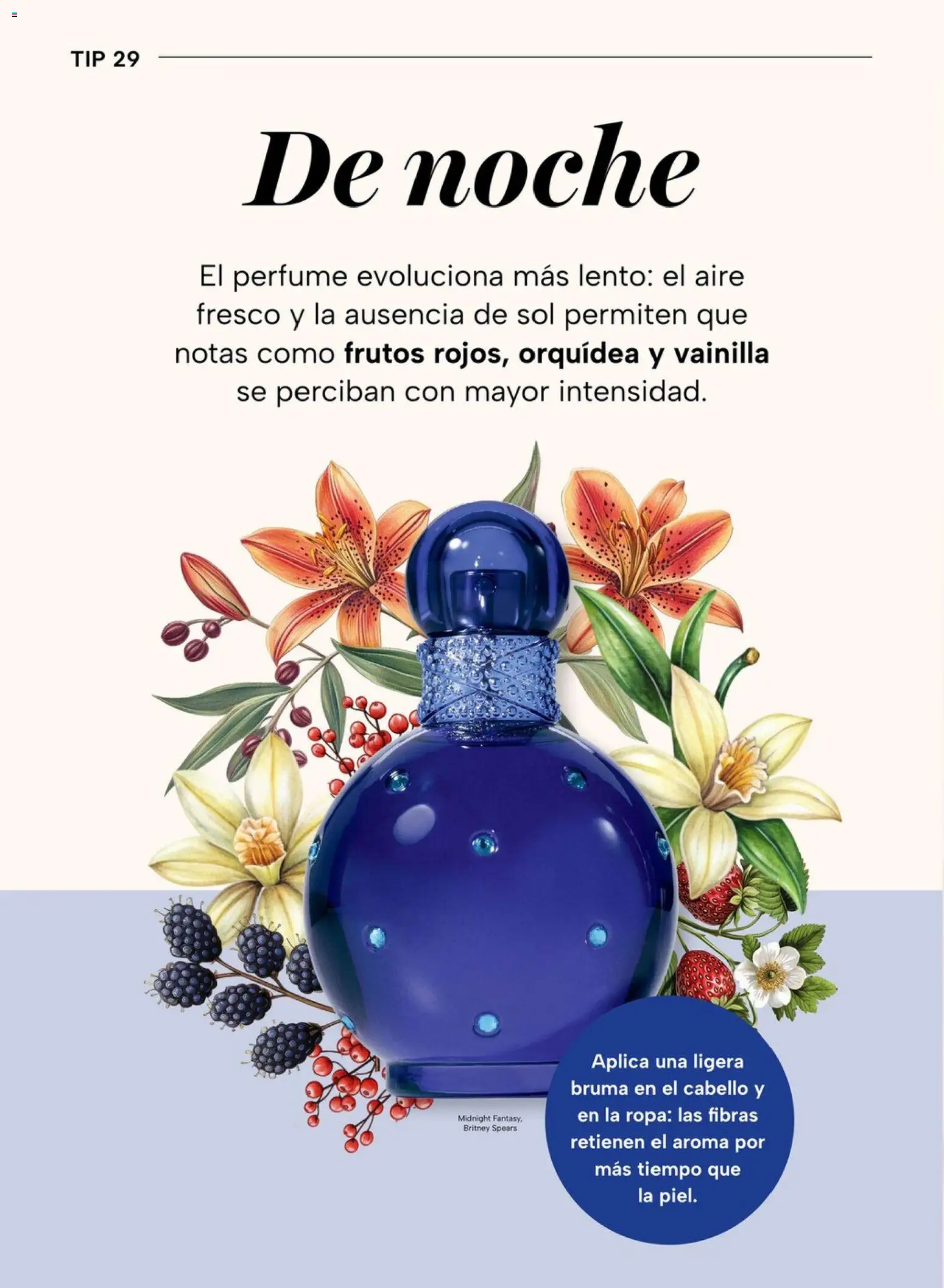 Vista previa las ofertas de la tienda Chedraui - Chedraui folleto desde el 04/05/2026 - Orquídea, Perfume, Ropa, Vainilla, Bruma
