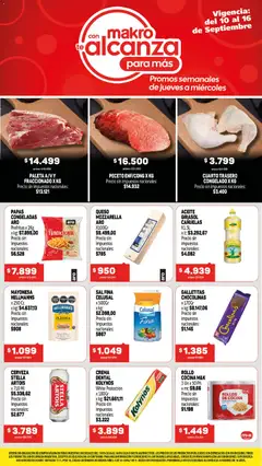 Vista previa del folleto de la tienda Makro válido desde el 10/09/2026 