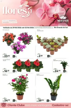 Pré-Visualização do folheto "Master ofertas Flores" da loja Master válido a partir de 29/05/2026