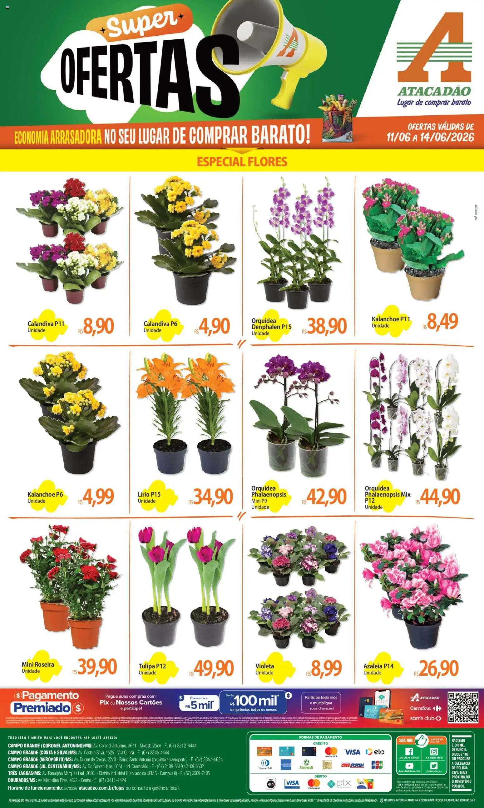 Pré-Visualização do folheto "Atacadão ofertas - MS" da loja Atacadão válido a partir de 11/06/2026