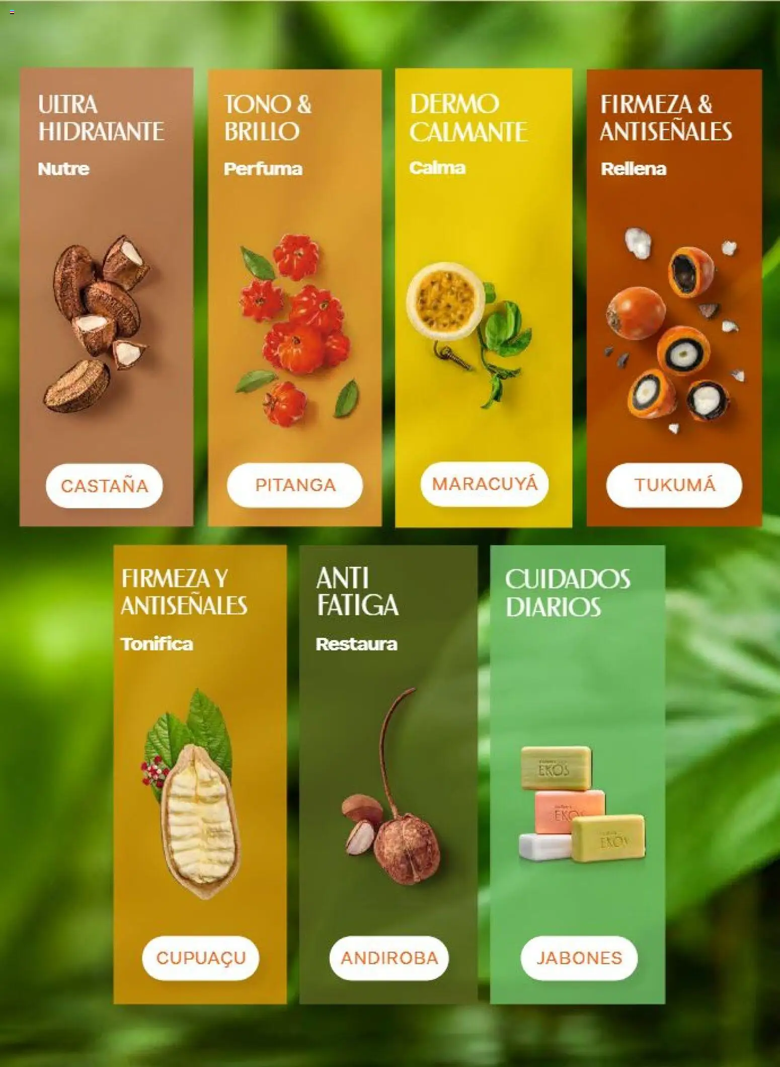 Vista previa las ofertas de la tienda Natura - Natura campaña 12 2026 desde el 31/07/2026 