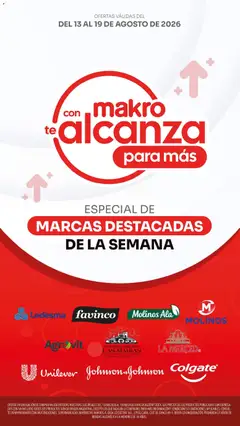 Vista previa del folleto de la tienda Makro válido desde el 13/08/2026 