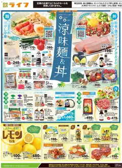 ライフの2026/06/17から2026/06/19までのチラシはここライフ - 2026夏チラシ