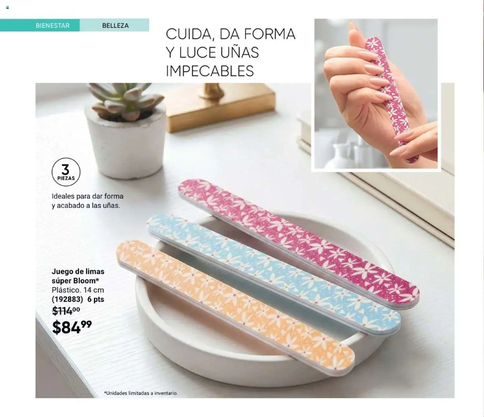 Vista previa las ofertas de la tienda AVON - AVON Casa & Estilo 12 2026 desde el 31/07/2026 