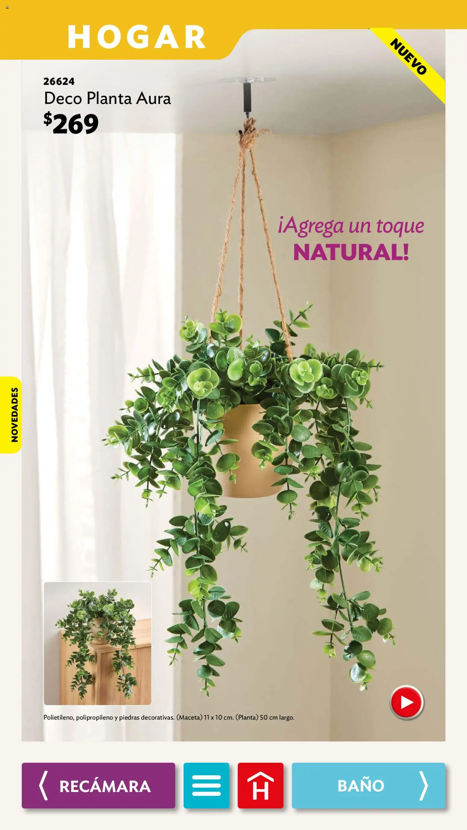 Vista previa las ofertas de la tienda Betterware - Betterware campaña 10 2026 desde el 28/09/2026 - Baño, Maceta, Planta