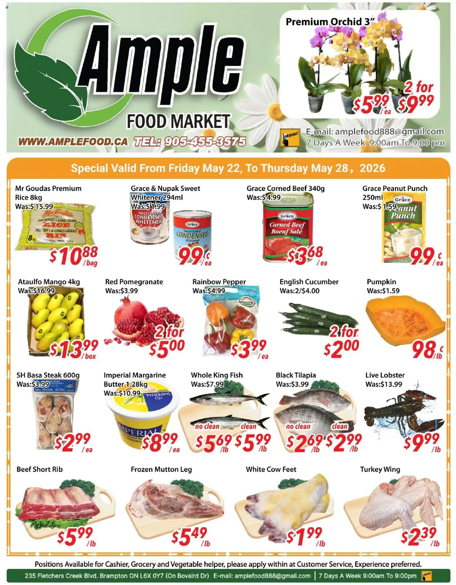 Preview of leaflet Ample Food Market weekly flyer / circulaire from shop Ample Food Market is valid from May 22, 2026 - Mango, Fish, Box, Butter, Rice, Tilapia, Grains, English cucumber