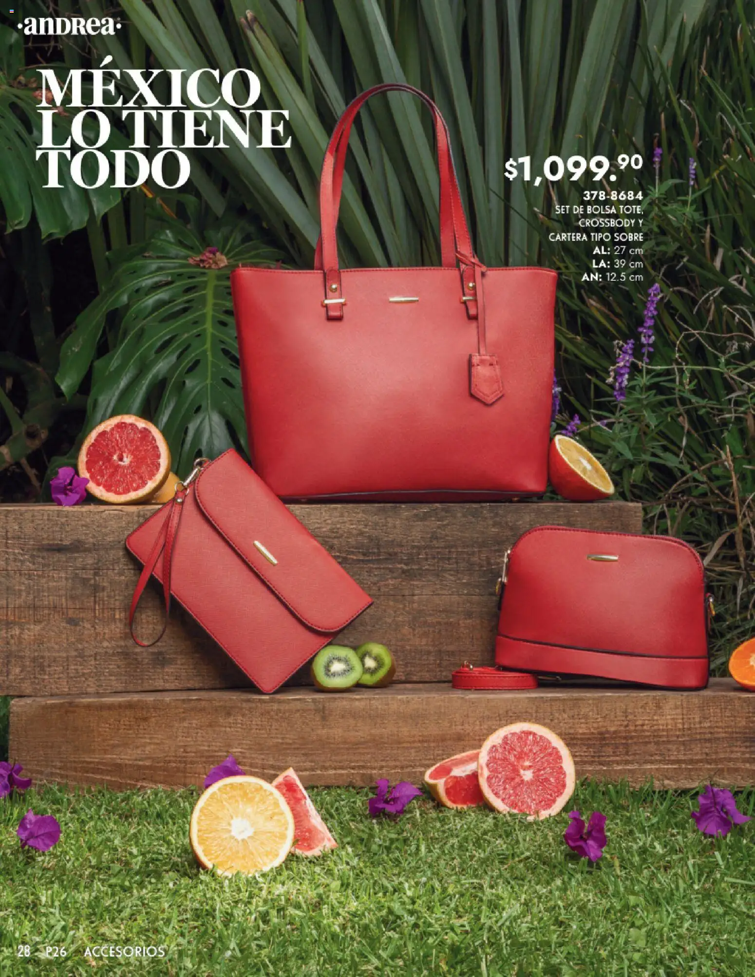 Vista previa las ofertas de la tienda Andrea - Catálogo Primavera desde el 25/01/2026 - Bolsa, Sobre