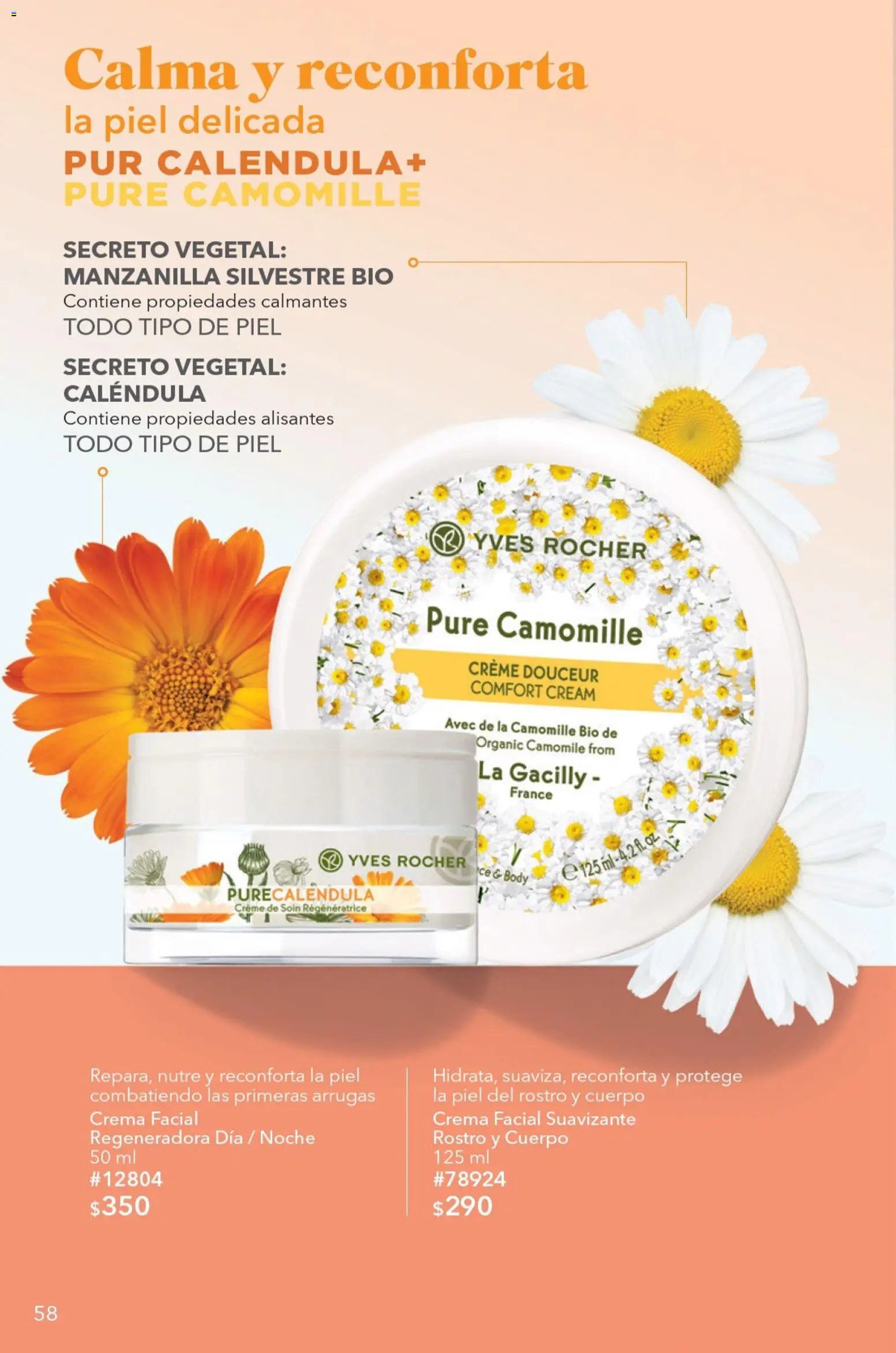Vista previa las ofertas de la tienda Yves Rocher - Yves Rocher campaña 13 2026 desde el 15/09/2026 