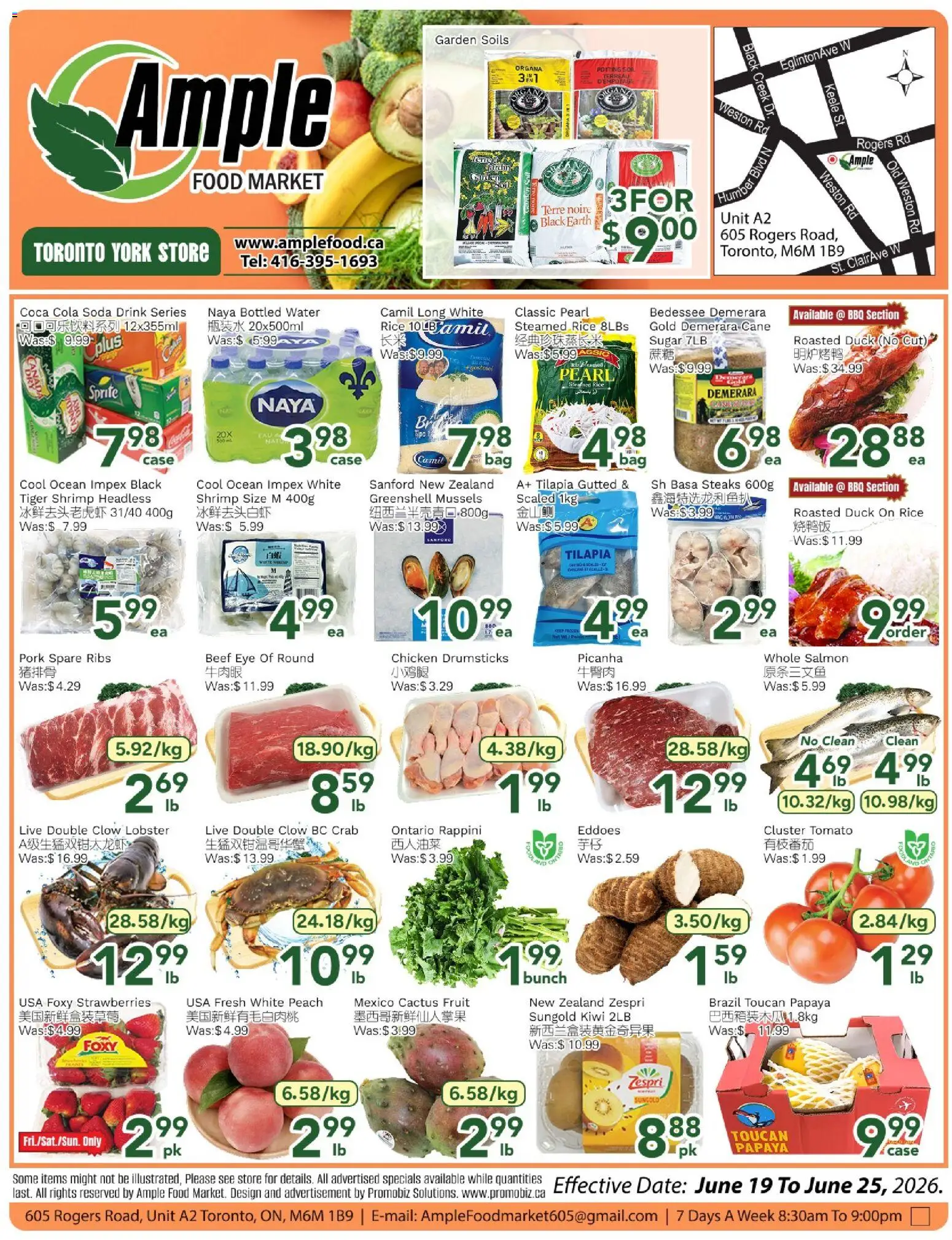 Preview of leaflet Ample Food Market weekly flyer Toronto York from shop Ample Food Market is valid from Jun 19, 2026 - Food, Water, Fruit, Shrimp, Beef, Sugar, Pork, Drumsticks