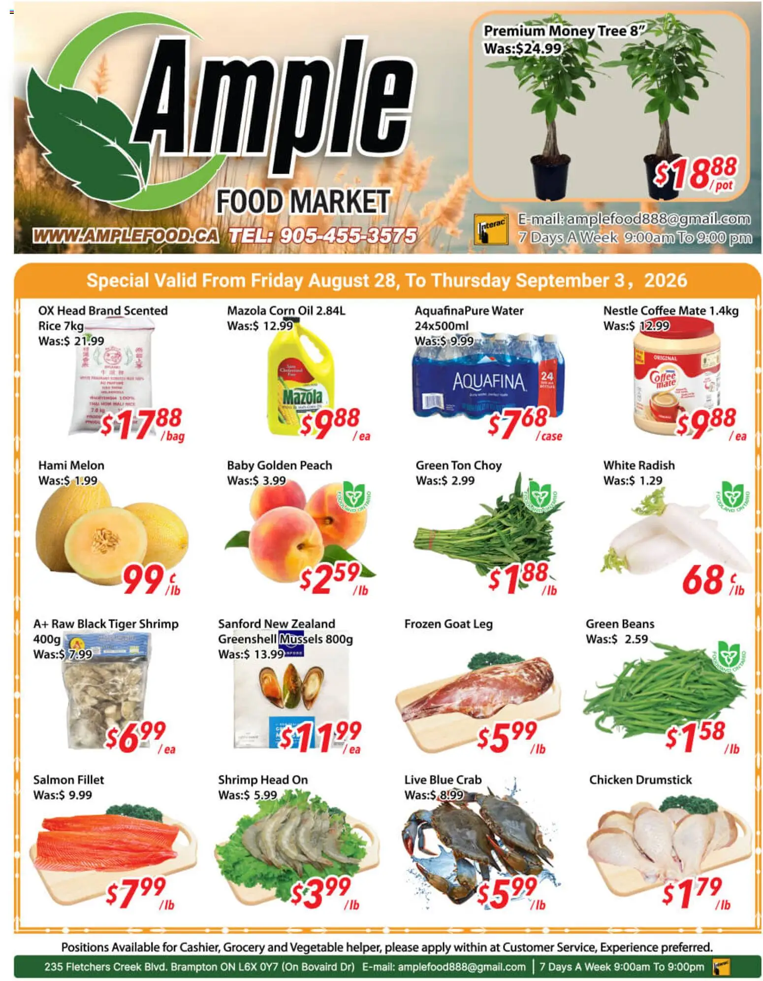 Preview of leaflet Ample Food Market weekly flyer / circulaire from shop Ample Food Market is valid from Aug 28, 2026