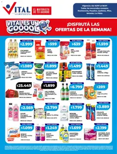 Vista previa del folleto de la tienda Vital válido desde el 13/07/2026 
